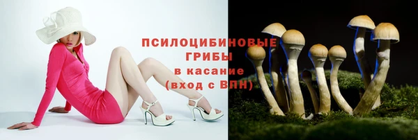 соль ск Абдулино