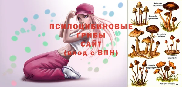 ECSTASY Абинск