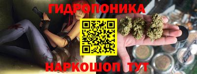 apvp Краснодар