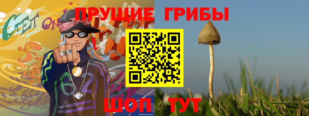 Ивантеевка  Галлюциногенные грибы Psilocybine cubensis  Вход с VPN  Псилоцибиновые грибы мицелий 
